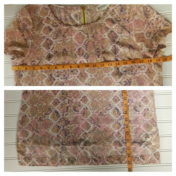 Anthropologie•Fynn and Rose•Snake Skin Pri… - Picture 8 of 8